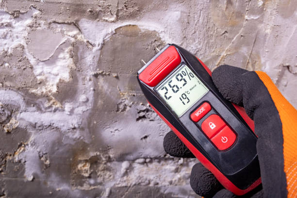 Best Office Mold Removal Services  in Wise, VA