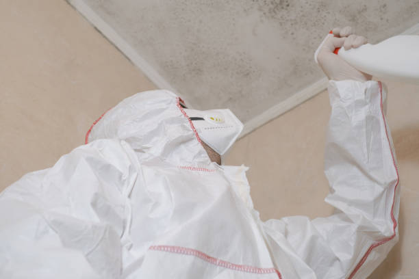 Best Emergency Mold Removal  in Wise, VA
