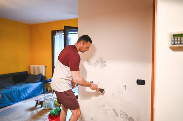 Best Mold Testing  in Wise, VA